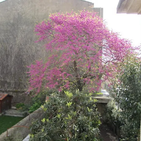 Aude Cité-City-2